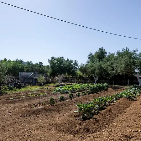 Casolare Di Costas Villa Argostoli (Kefalonia)
