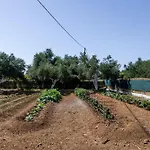 Casolare Di Costas Villa Argostoli (Kefalonia)